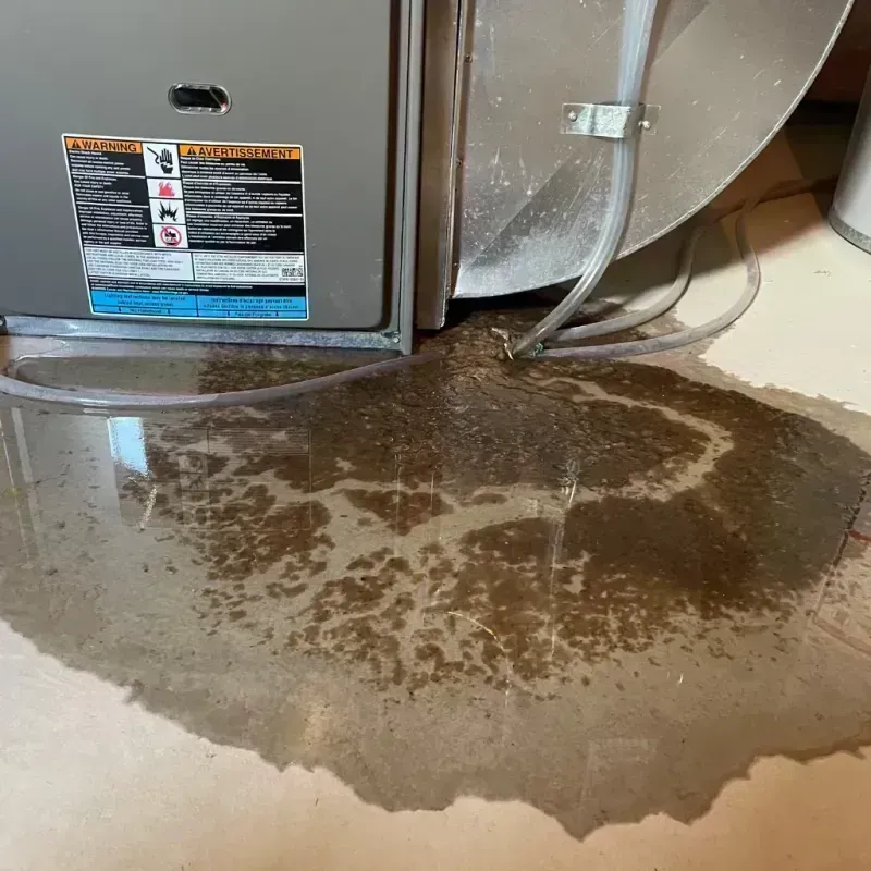 Appliance Leak Cleanup in Woodford County, IL